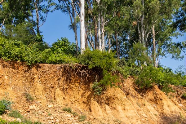 Erosion Control